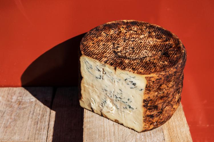 Utmärkelse till Casearia Carpenedo